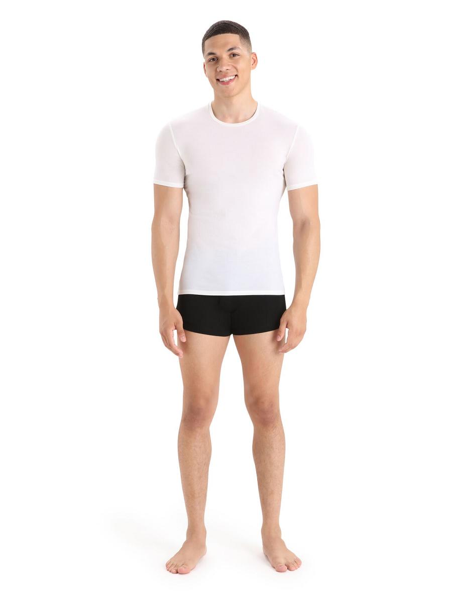 Snow Men's Icebreaker Merino Anatomica Short Sleeve Crewe T-Shirt Underwear | USA 1300HAPK